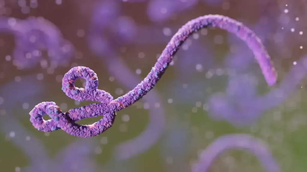 Ebola no Congo é 2º maior surto da história, dizem autoridades